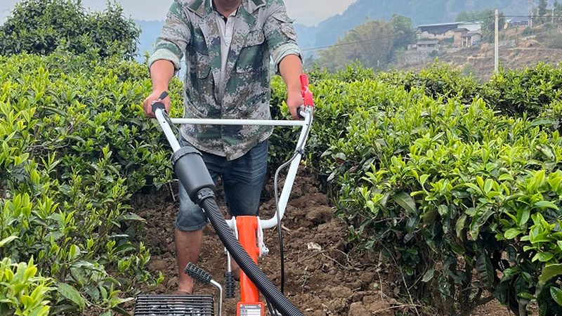 玉米收割机品牌盘点：如何选择合适的机型**