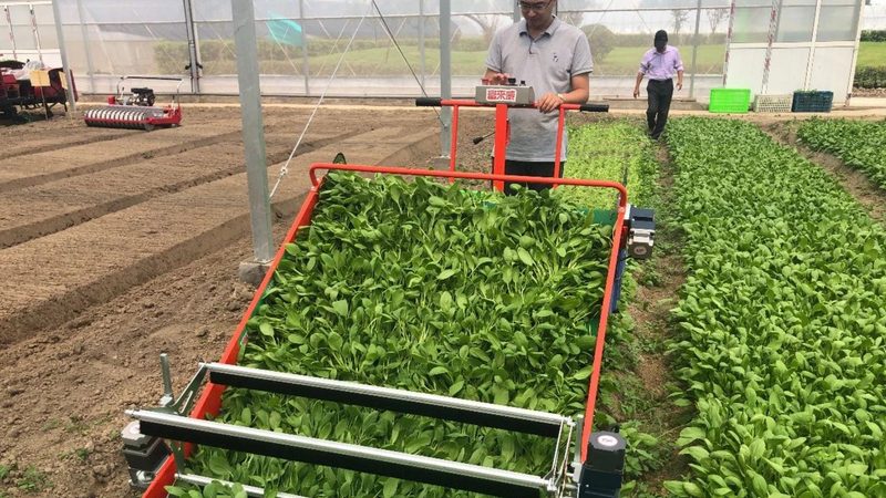 农机补贴型号如何快速查询？关键步骤解析