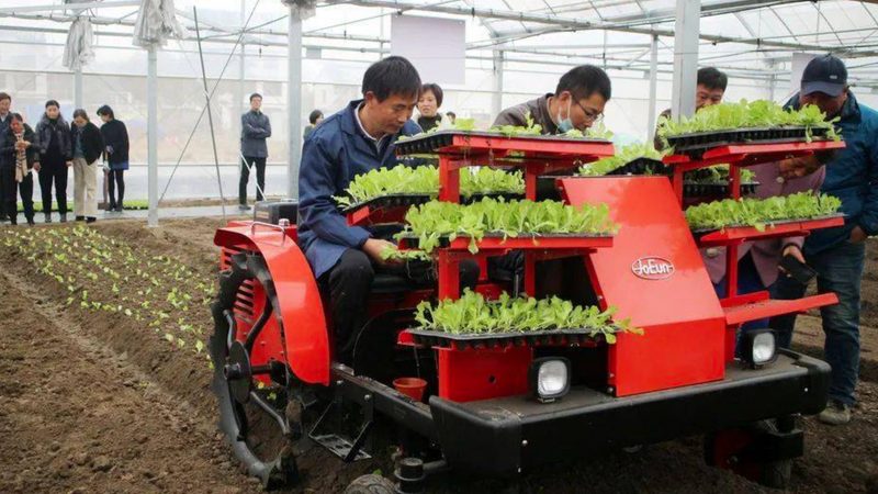 国产小麦收割机：耐用性背后的关键因素**