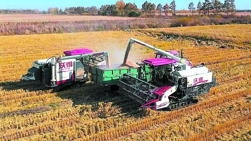 河南粮食烘干机热风炉配置：关键因素与选型要点**